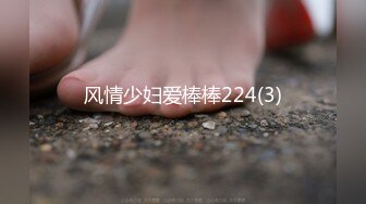 风情少妇爱棒棒224(3)