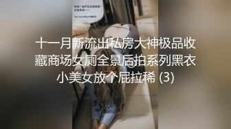 十一月新流出私房大神极品收藏商场女厕全景后拍系列黑衣小美女放个屁拉稀 (3)