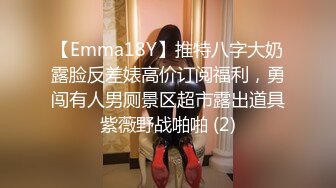 【Emma18Y】推特八字大奶露脸反差婊高价订阅福利，勇闯有人男厕景区超市露出道具紫薇野战啪啪 (2)