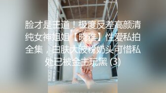 脸才是王道！极度反差高颜清纯女神姐姐【晓雅】性爱私拍全集，白肤大波粉奶头可惜私处已被金主玩黑 (3)