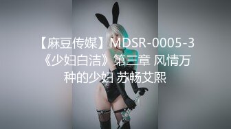 【麻豆传媒】MDSR-0005-3《少妇白洁》第三章 风情万种的少妇 苏畅艾熙