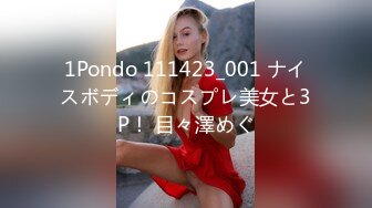 1Pondo 111423_001 ナイスボディのコスプレ美女と3P！ 目々澤めぐ