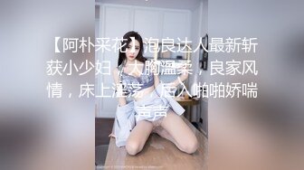 【阿朴采花】泡良达人最新斩获小少妇，大胸温柔，良家风情，床上淫荡，后入啪啪娇喘声声