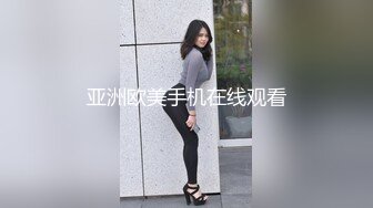 亚洲欧美手机在线观看