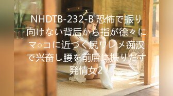 NHDTB-232-B 恐怖で振り向けない背后から指が徐々にマ○コに近づく尻ワレメ痴汉で兴奋し腰を前后に振りだす発情女2