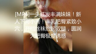 [MP4]一头红发丰满妹妹！新人下海小秀！丰乳肥臀紧致小穴，开档丝袜抬起双腿，圆润大肥臀极度诱惑