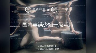 国内丰满少妇一级毛片