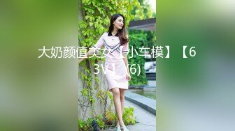 大奶颜值美女【小车模】【63V】 (6)