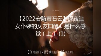 【2022安防萤石云】深夜让女仆装的女友口醒，是什么感觉（上） (1)