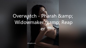 Overwatch - Pharah &amp; Widowmaker &amp; Reaper