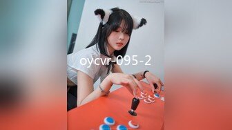 oycvr-095-2