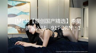 [MP4]【原创国产精选】李星云，新人入站，91PORN，1