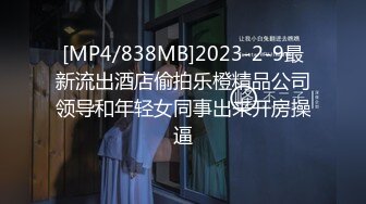 [MP4/838MB]2023-2-9最新流出酒店偷拍乐橙精品公司领导和年轻女同事出来开房操逼