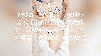 蜜桃臀，极品00后，最佳小女友【小姐姐19岁】无毛嫩穴，粉嫩美乳，无套插入，水声潺潺，劲爆刺激，观感极佳