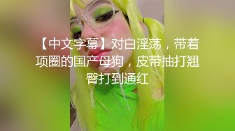 【中文字幕】对白淫荡，带着项圈的国产母狗，皮带抽打翘臀打到通红