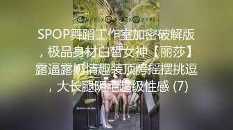 SPOP舞蹈工作室加密破解版，极品身材白皙女神【丽莎】露逼露奶情趣装顶胯摇摆挑逗，大长腿阴毛超级性感 (7)