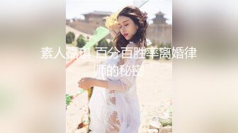 素人嘉琪 百分百胜率离婚律师的秘密