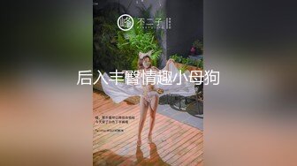 后入丰臀情趣小母狗