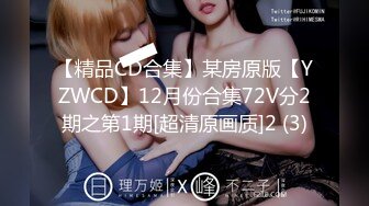 【精品CD合集】某房原版【YZWCD】12月份合集72V分2期之第1期[超清原画质]2 (3)