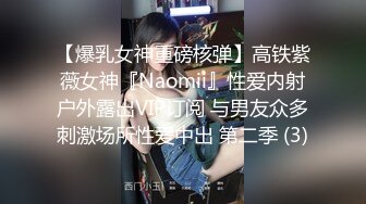 【爆乳女神重磅核弹】高铁紫薇女神『Naomii』性爱内射户外露出VIP订阅 与男友众多刺激场所性爱中出 第二季 (3)