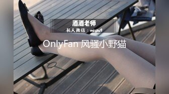 OnlyFan 风骚小野猫