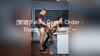 [繁體]Fate／Gentle Order -The コミックムービー